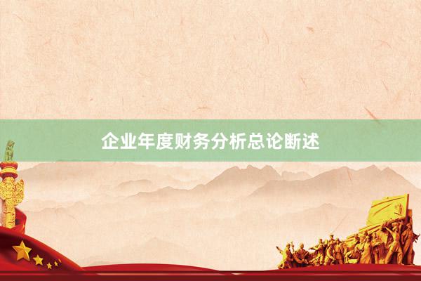 企业年度财务分析总论断述