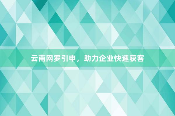 云南网罗引申，助力企业快速获客