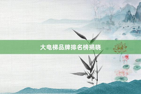 大电梯品牌排名榜揭晓