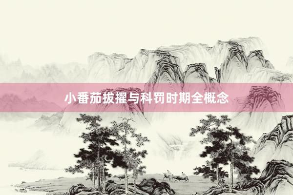 小番茄拔擢与科罚时期全概念