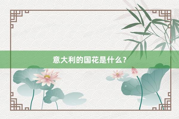意大利的国花是什么？